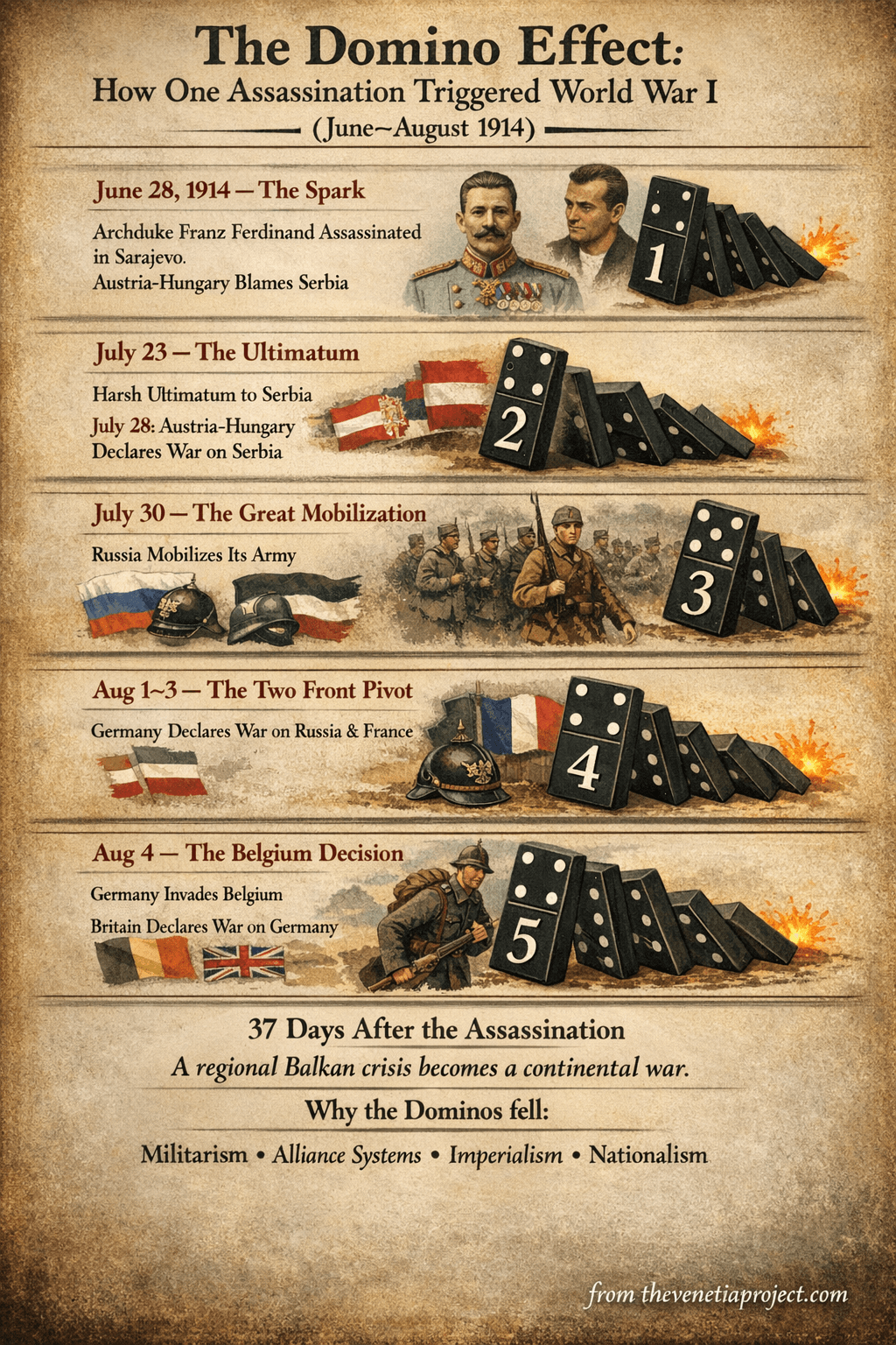 Infographic showing the cascading origins of World War I